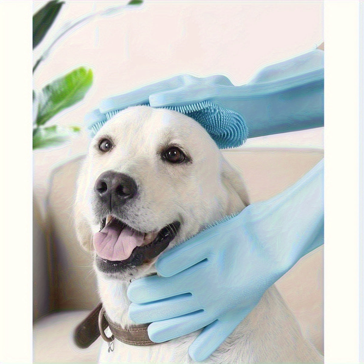 Huisdier badhandschoenen, huisdier massageborstel, honden wrijfbadproducten, zachte hondenhaarverwijderings- en schoonmaakhandschoenen, dichte borstelontwerp, geschikt voor alle maten katten en honden, een must-have voor het baden van huisdieren, bruikbaa